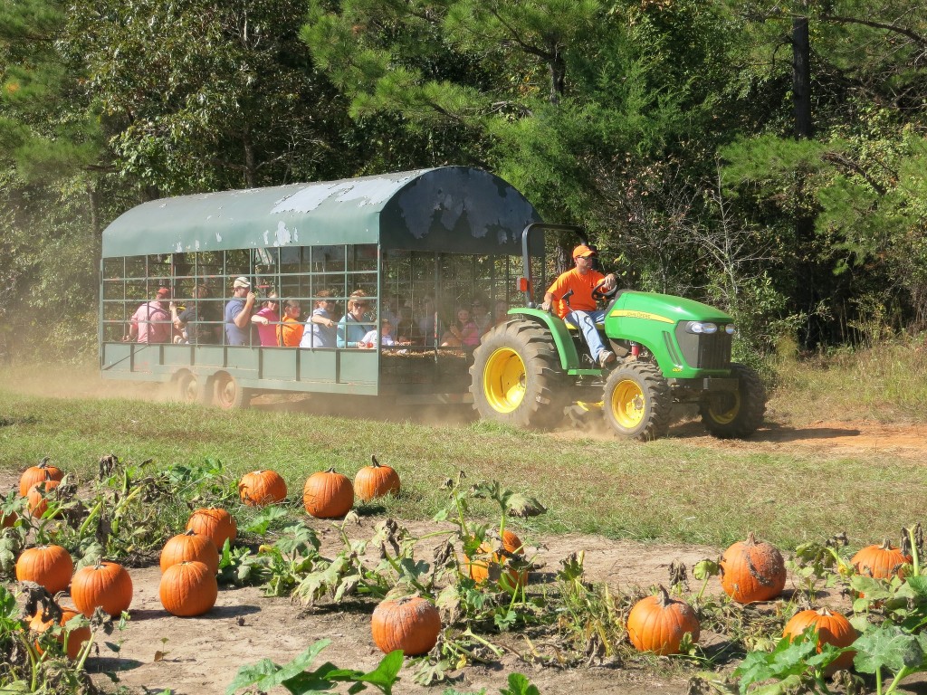 Guide to Hay Rides in Ohio - I Love Halloween