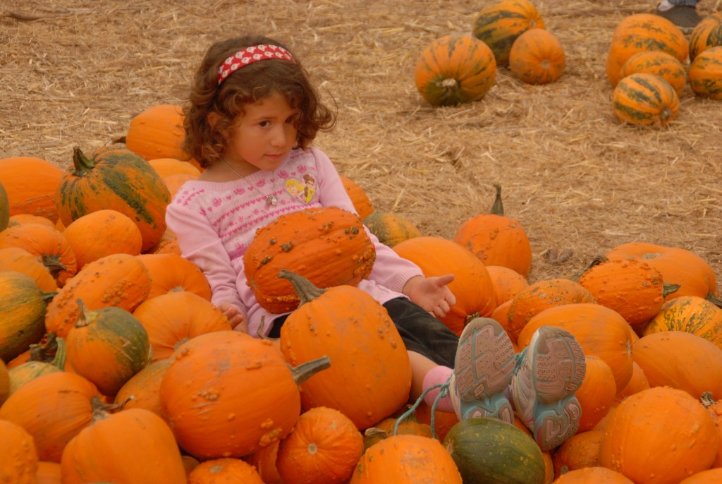 Suzie's Farm 8116615564_c2a49c8199_k - I Love Halloween